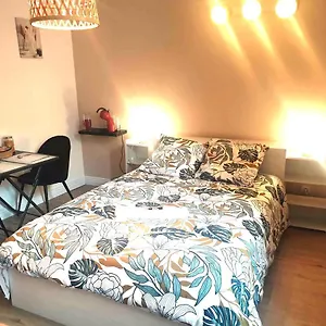 https://chez-cerise.midi-pyreneeshotels.com